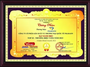 Top 10 Golden Brand Awards 2022 certificate awarded to Pharaon by VATAP